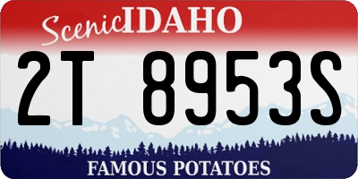 ID license plate 2T8953S