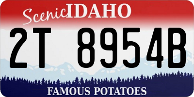 ID license plate 2T8954B