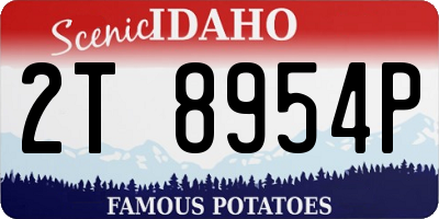 ID license plate 2T8954P
