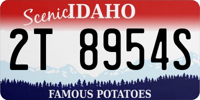 ID license plate 2T8954S