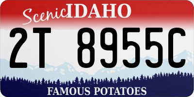 ID license plate 2T8955C