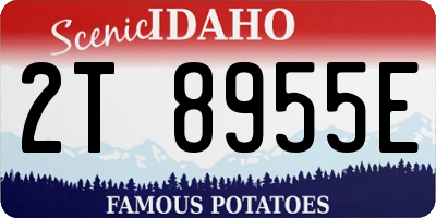 ID license plate 2T8955E