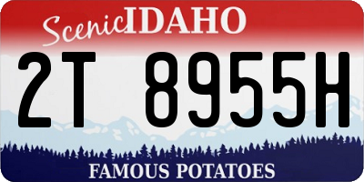 ID license plate 2T8955H