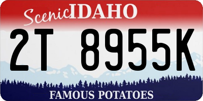 ID license plate 2T8955K