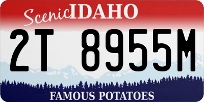 ID license plate 2T8955M