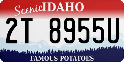 ID license plate 2T8955U