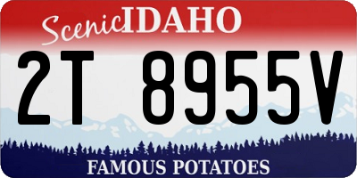 ID license plate 2T8955V