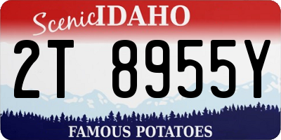 ID license plate 2T8955Y