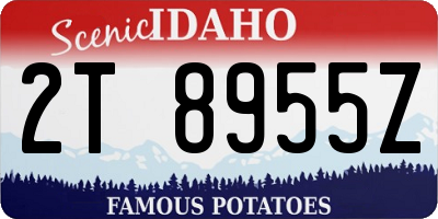 ID license plate 2T8955Z