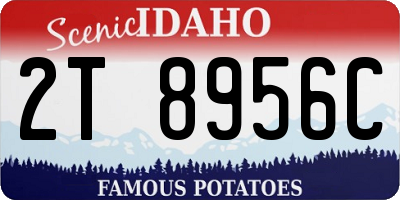 ID license plate 2T8956C