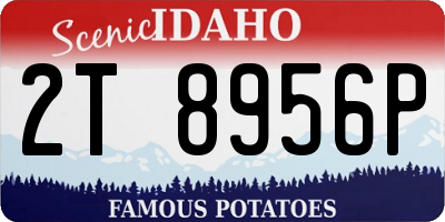 ID license plate 2T8956P