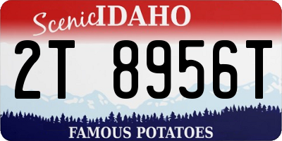 ID license plate 2T8956T