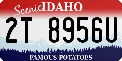 ID license plate 2T8956U