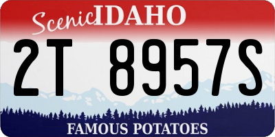 ID license plate 2T8957S