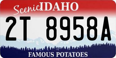 ID license plate 2T8958A