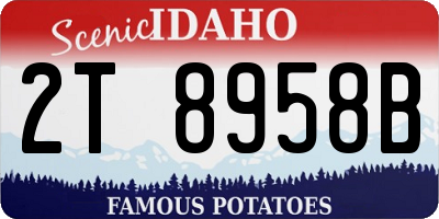 ID license plate 2T8958B