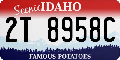 ID license plate 2T8958C