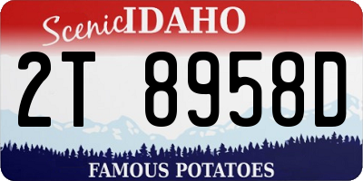 ID license plate 2T8958D
