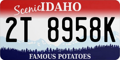 ID license plate 2T8958K