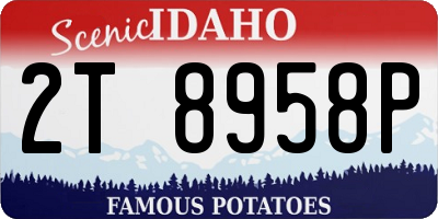 ID license plate 2T8958P