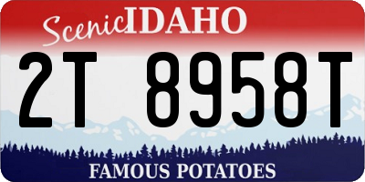 ID license plate 2T8958T
