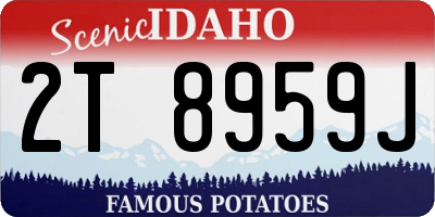 ID license plate 2T8959J