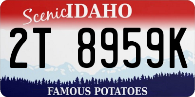 ID license plate 2T8959K
