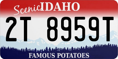 ID license plate 2T8959T