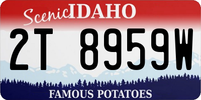 ID license plate 2T8959W