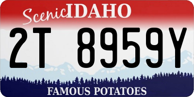 ID license plate 2T8959Y
