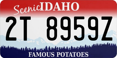 ID license plate 2T8959Z