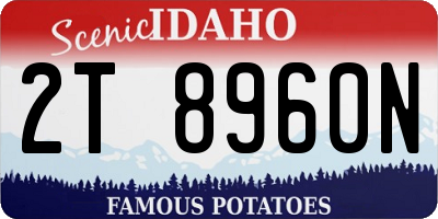 ID license plate 2T8960N
