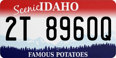 ID license plate 2T8960Q