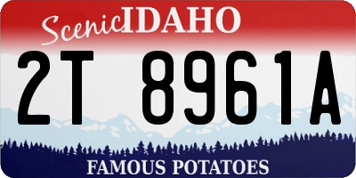 ID license plate 2T8961A