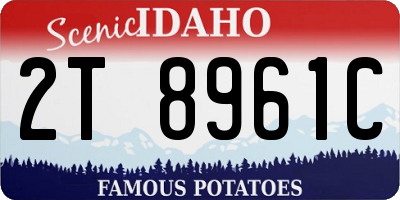 ID license plate 2T8961C
