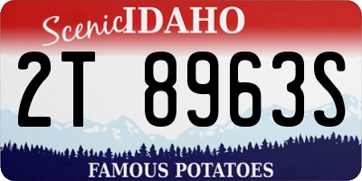 ID license plate 2T8963S