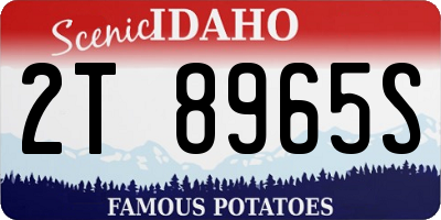 ID license plate 2T8965S