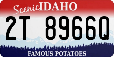 ID license plate 2T8966Q