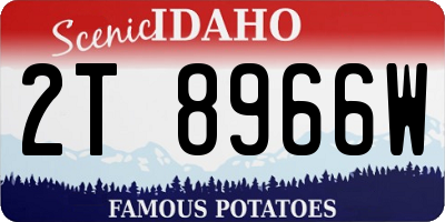 ID license plate 2T8966W