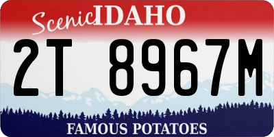 ID license plate 2T8967M