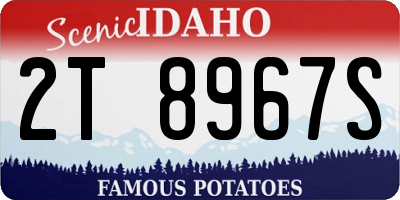 ID license plate 2T8967S