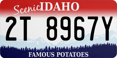 ID license plate 2T8967Y