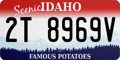 ID license plate 2T8969V