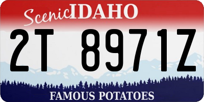 ID license plate 2T8971Z