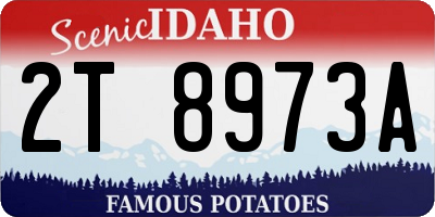 ID license plate 2T8973A