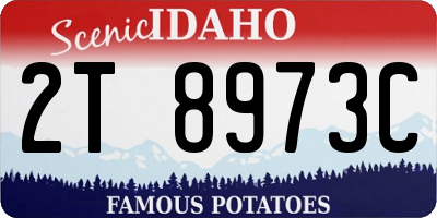 ID license plate 2T8973C