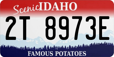 ID license plate 2T8973E