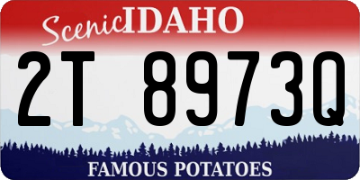 ID license plate 2T8973Q