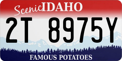 ID license plate 2T8975Y