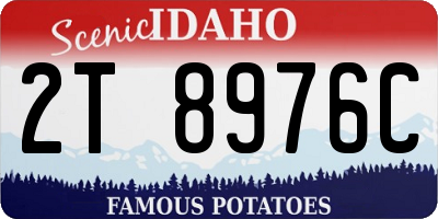 ID license plate 2T8976C
